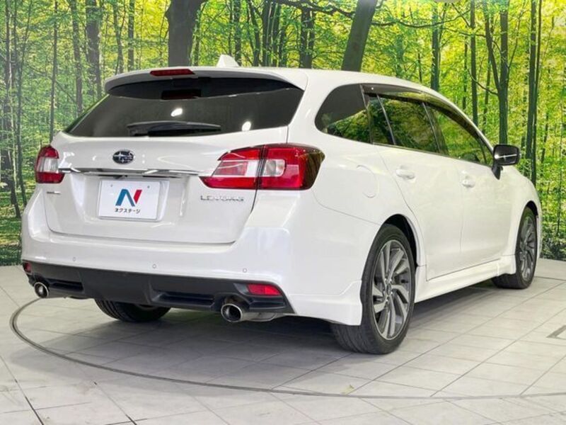 LEVORG