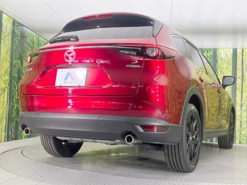 CX-8