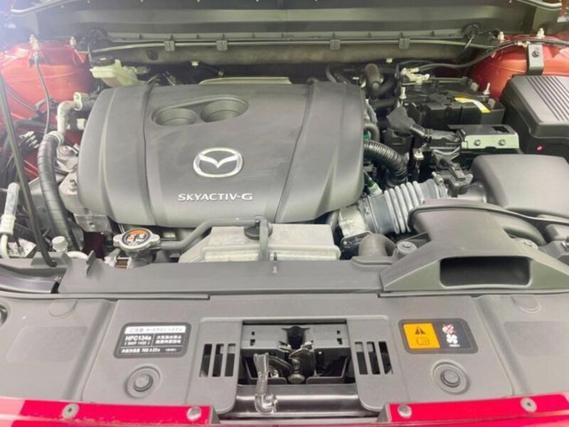 CX-8