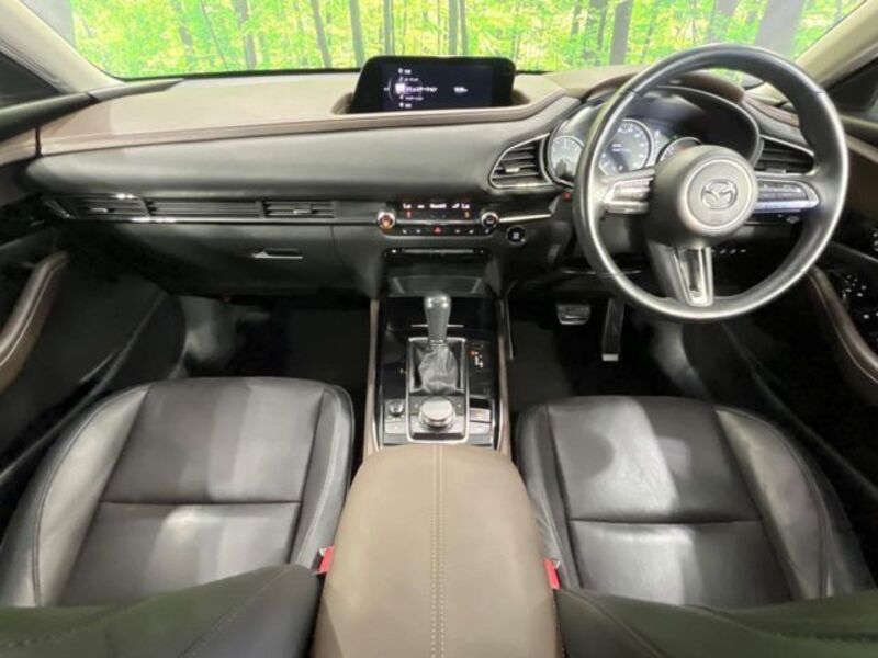 CX-30
