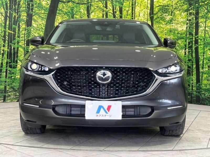 CX-30