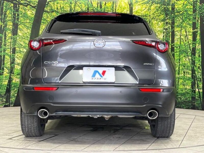 CX-30