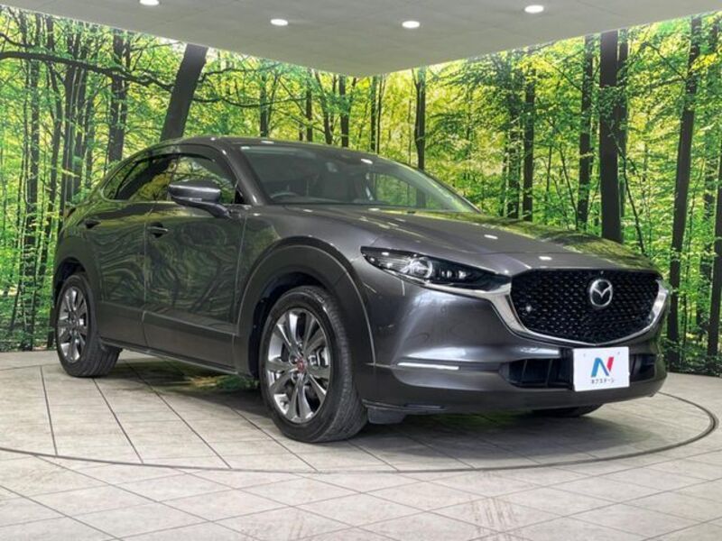 CX-30