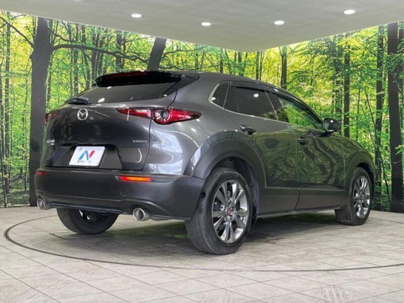 CX-30