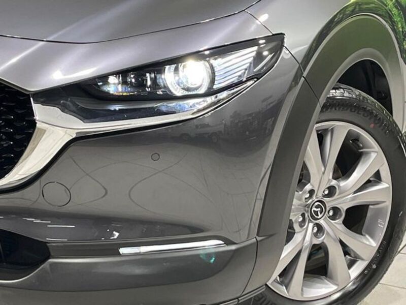 CX-30