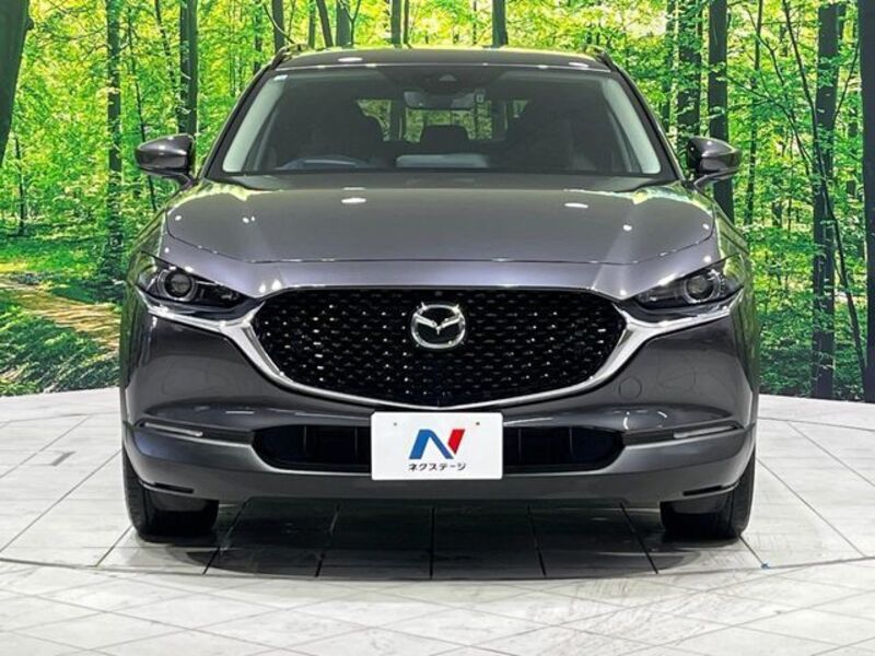 CX-30