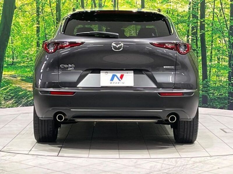 CX-30