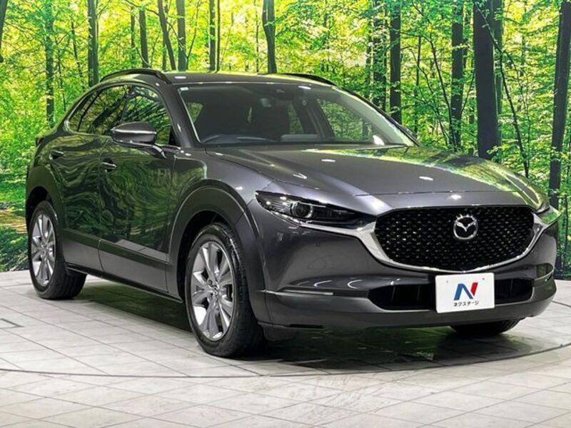 CX-30
