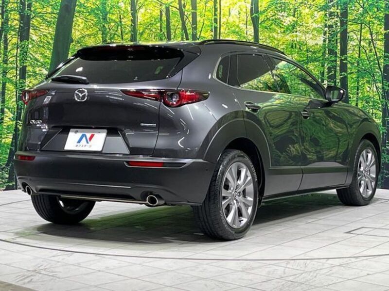 CX-30