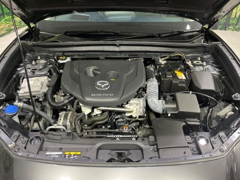 CX-30