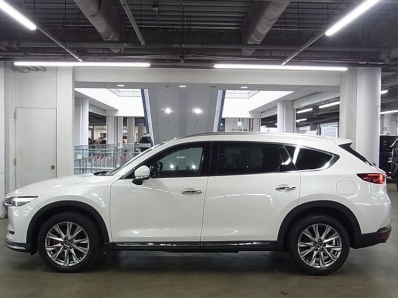 CX-8