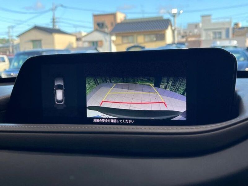 CX-30