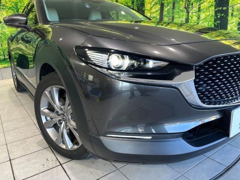 CX-30
