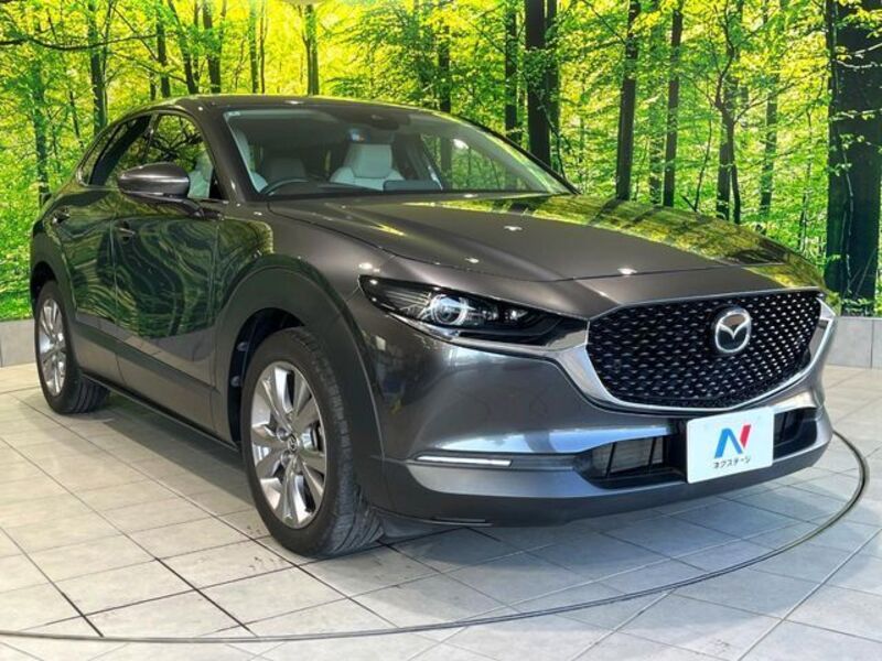 CX-30