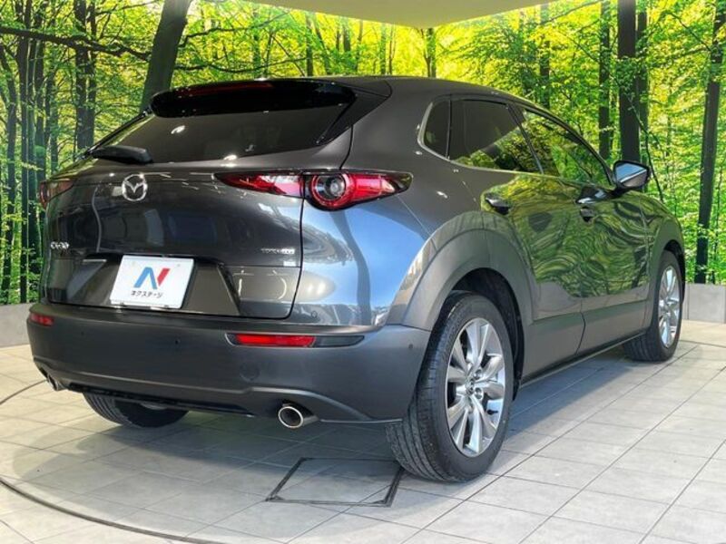 CX-30