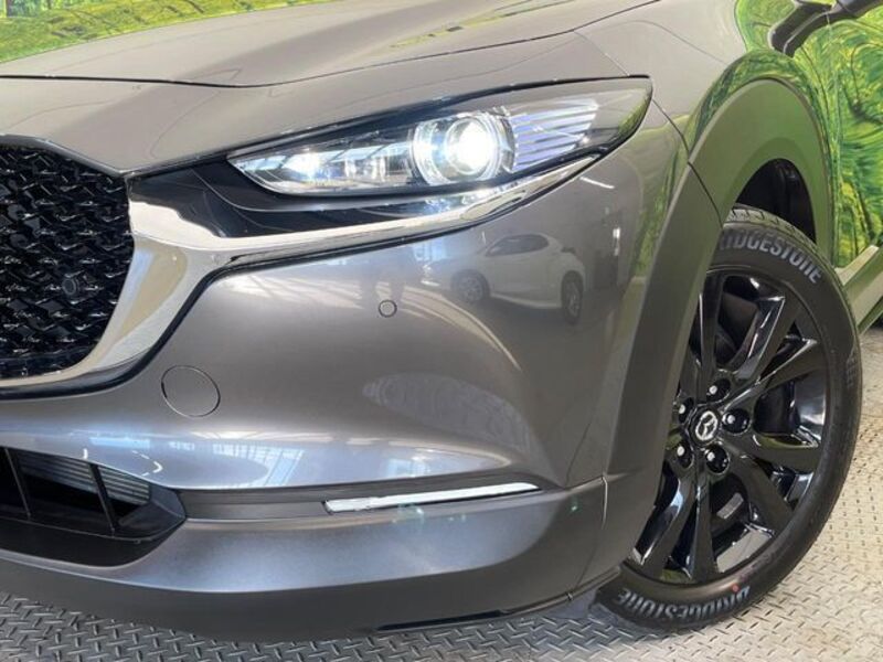 CX-30