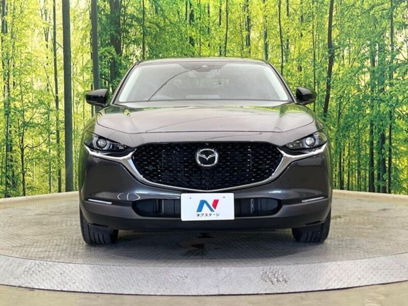 CX-30