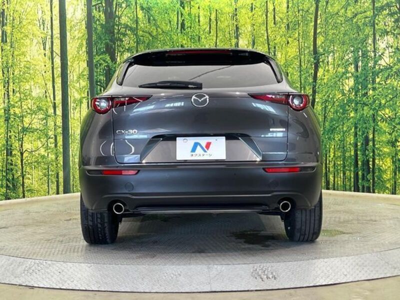 CX-30