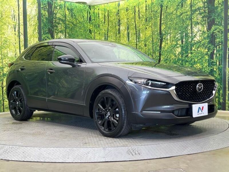CX-30