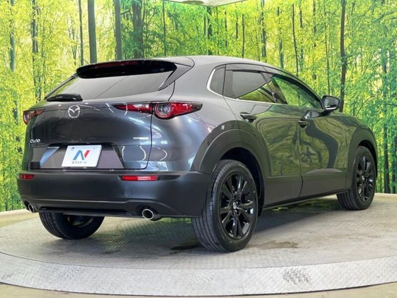 CX-30