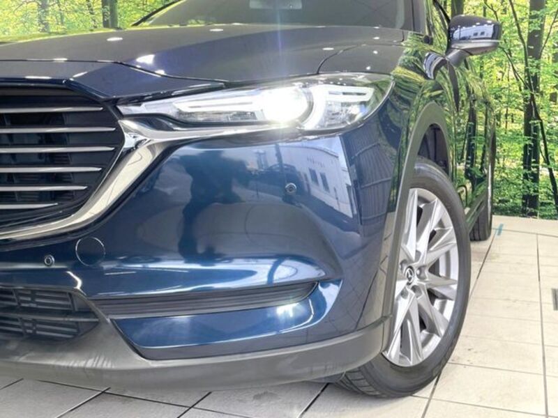 CX-8