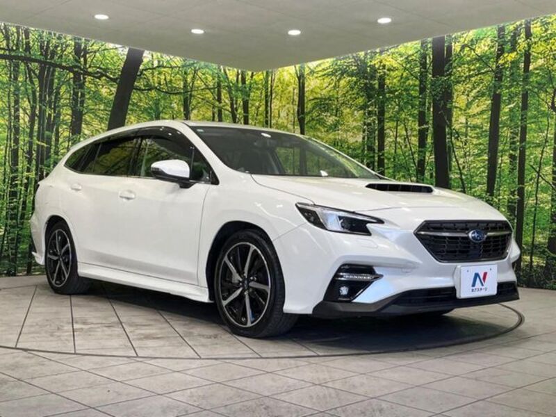 LEVORG