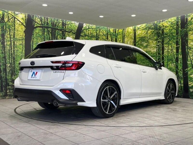 LEVORG