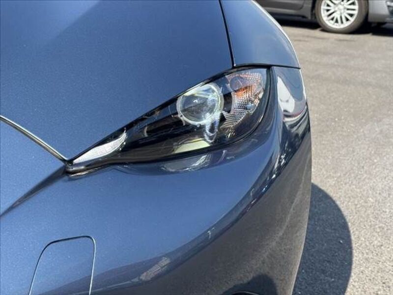 ROADSTER