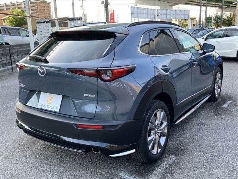 CX-30