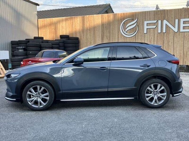CX-30