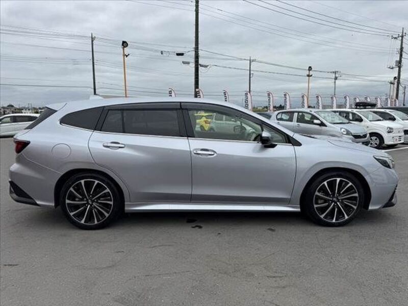 LEVORG