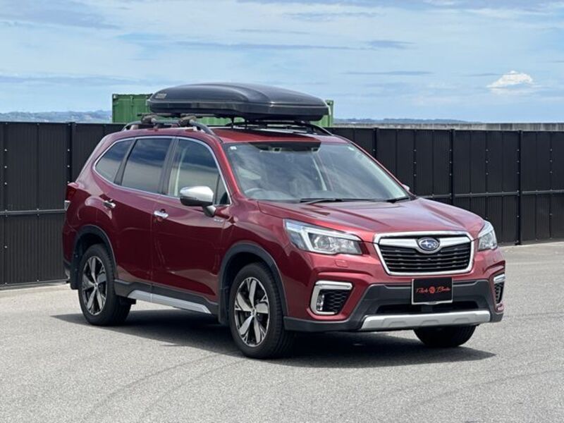 FORESTER