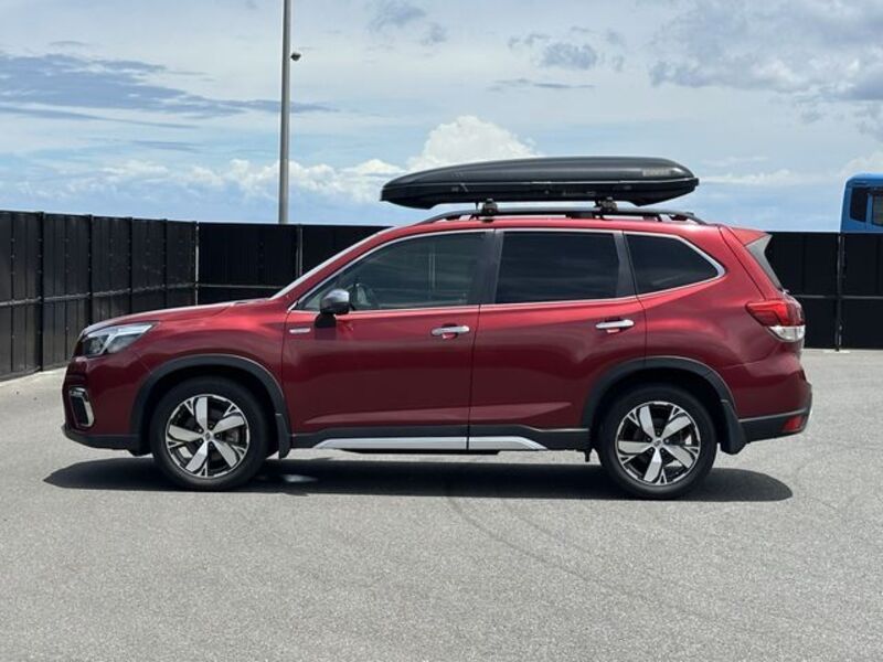 FORESTER