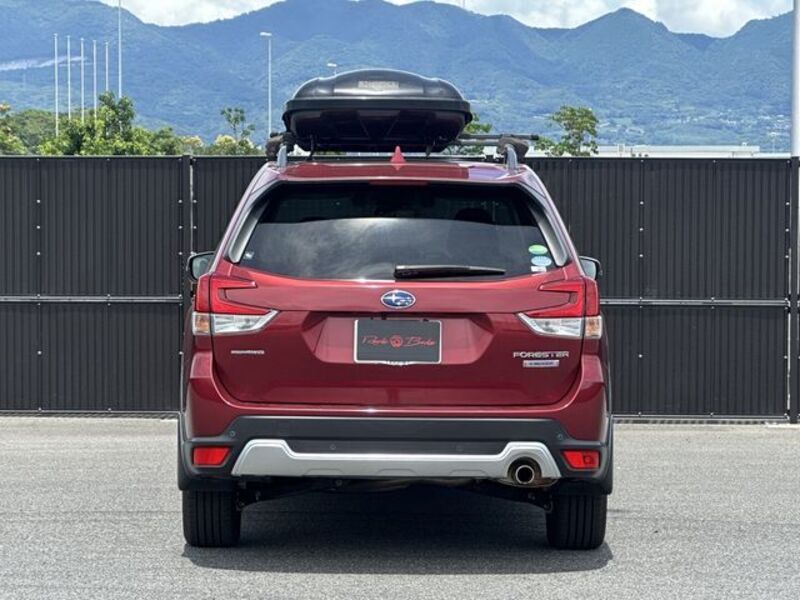 FORESTER