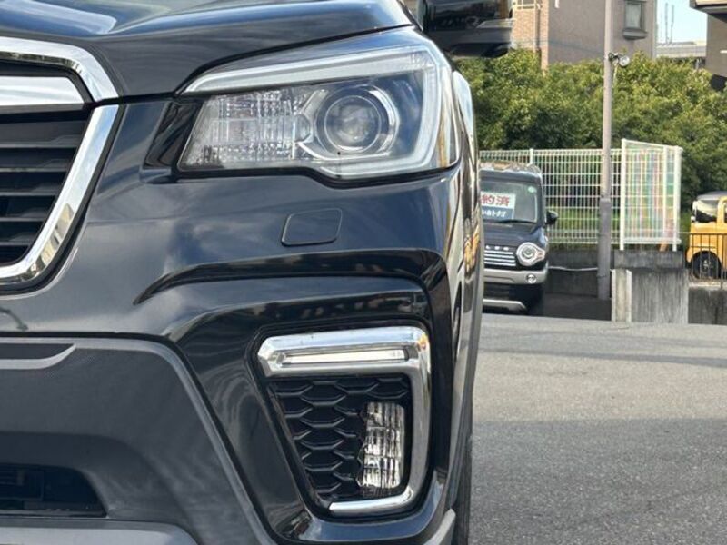 FORESTER