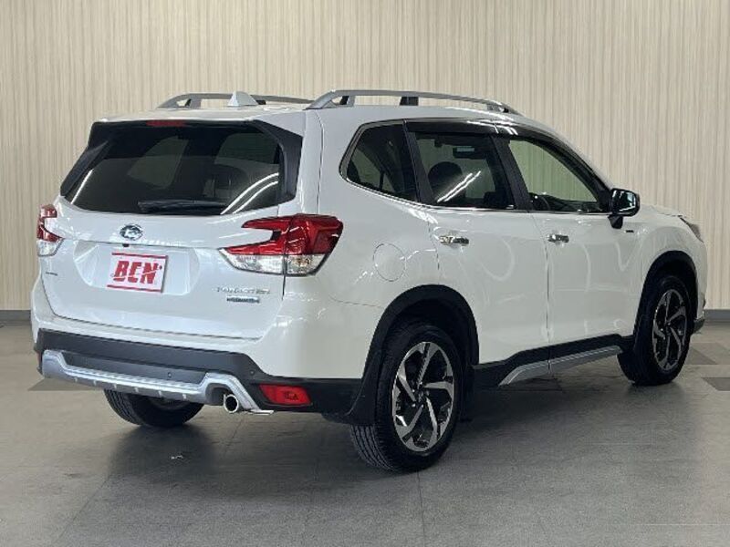 FORESTER