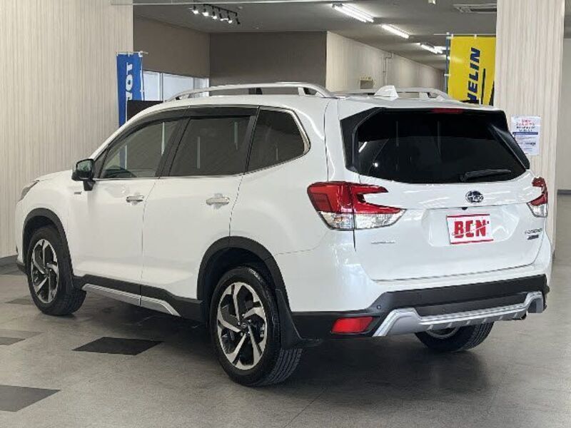 FORESTER