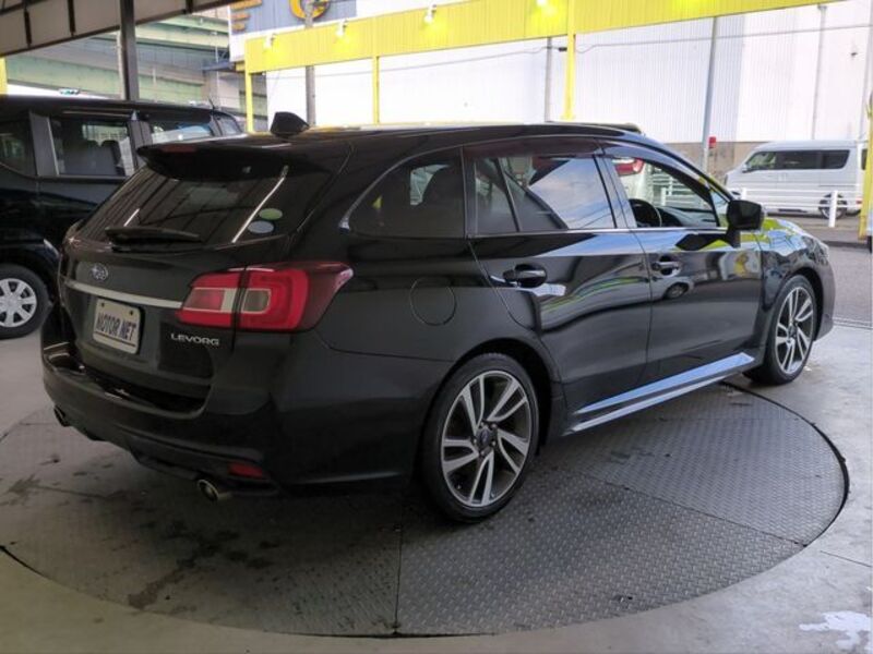 LEVORG