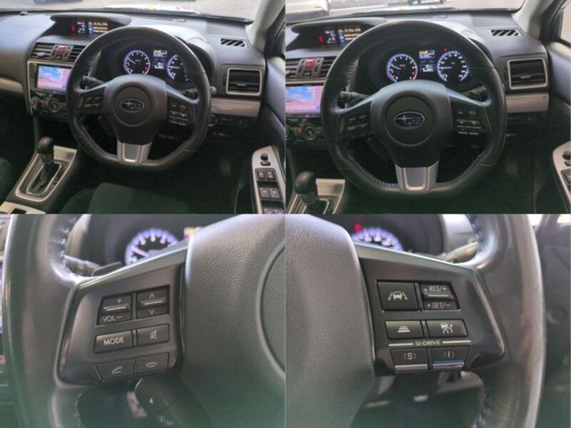 LEVORG