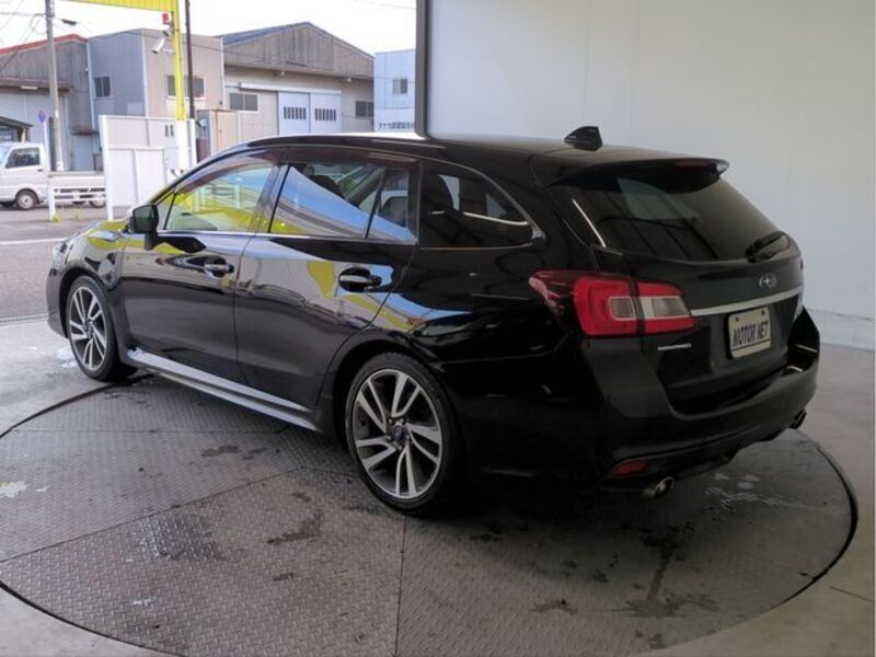 LEVORG