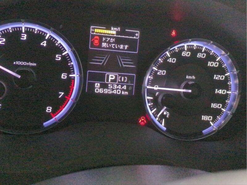 LEVORG