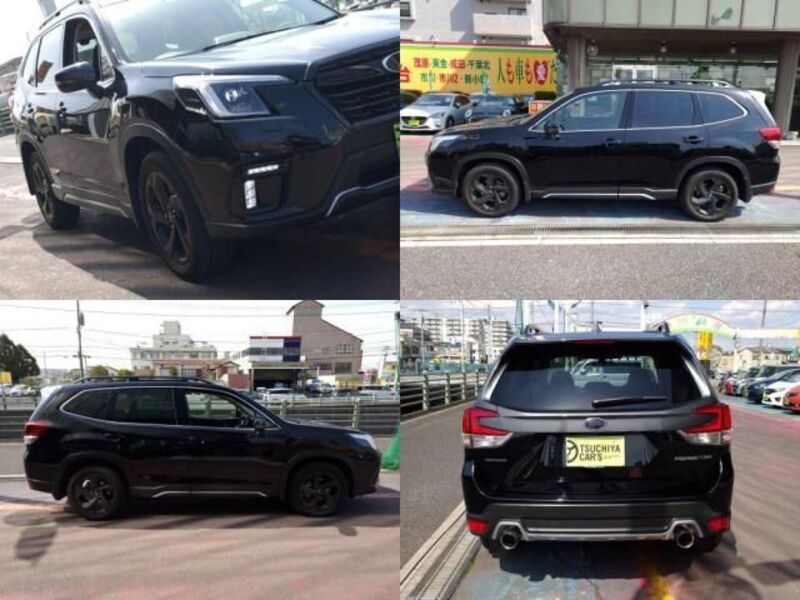 FORESTER