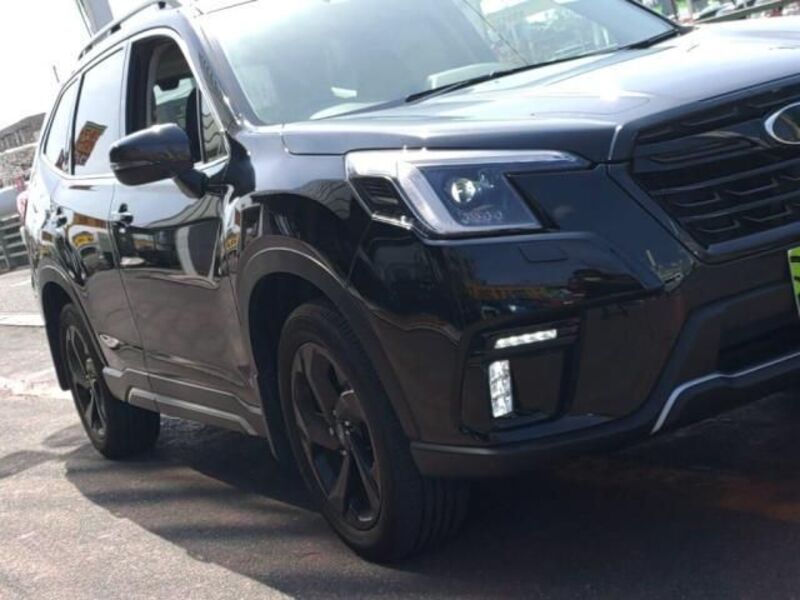 FORESTER