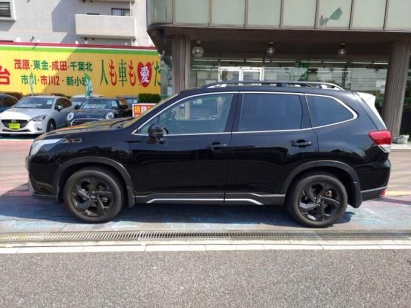 FORESTER