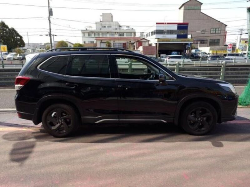 FORESTER