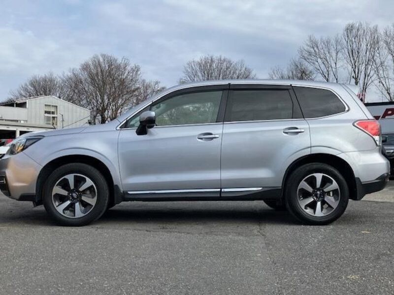 FORESTER