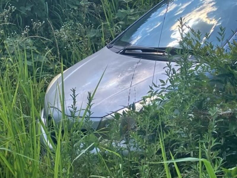 VITZ-0