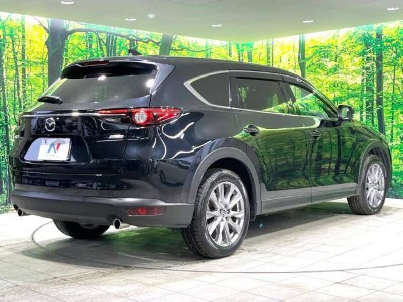 CX-8