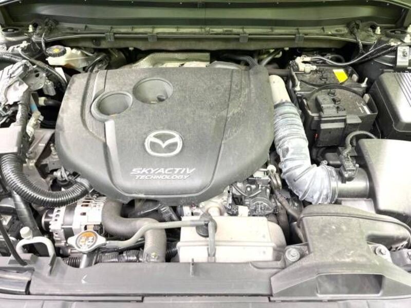 CX-8