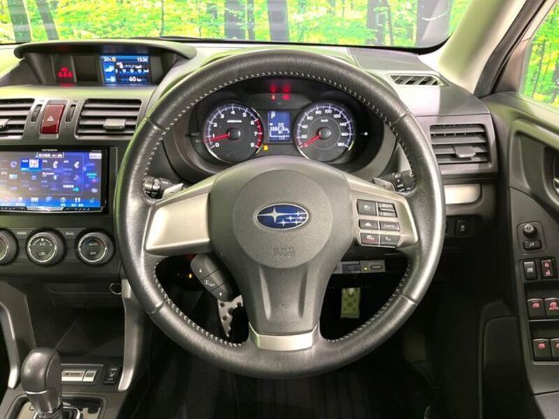 FORESTER